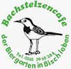 Bachstelzencafe